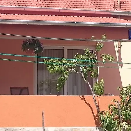 Dutch Šibenik